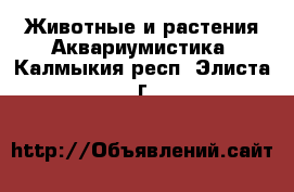 Животные и растения Аквариумистика. Калмыкия респ.,Элиста г.